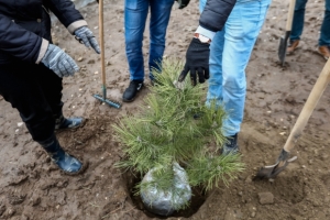 В Ижевске пройдет акция &laquo;Аллея Надежды&raquo;